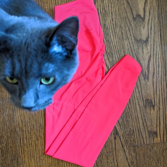 GS x WS 2 Rib Waist Leggings - Picture 7 of 7